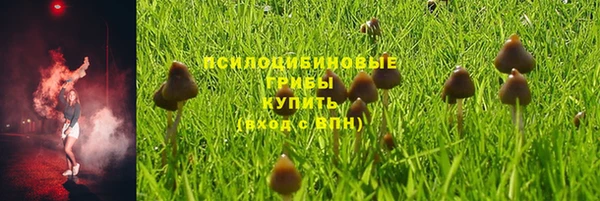 МДПВ Аркадак
