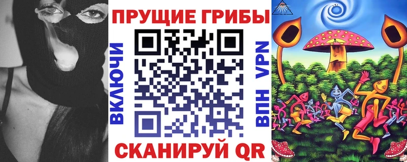 Псилоцибиновые грибы Psilocybe  ОМГ ОМГ сайт  Северо-Курильск 
